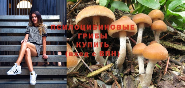 гашик Вязьма
