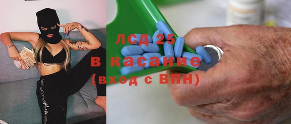 гашик Вяземский