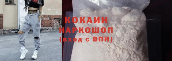 гашик Вяземский