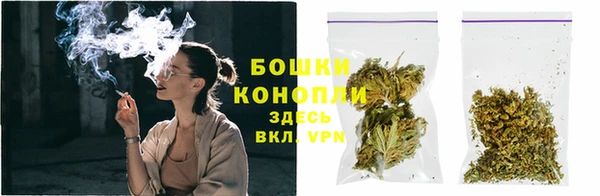 гашик Вязьма