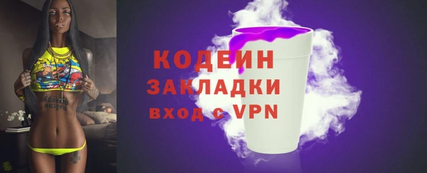 гашик Вяземский