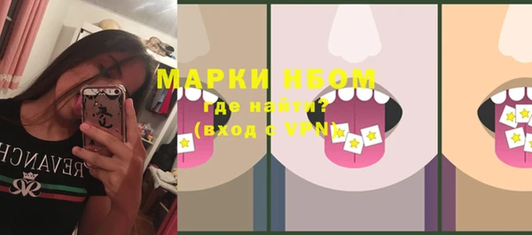 гашик Вяземский
