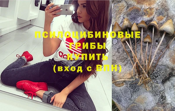 СК Тавда