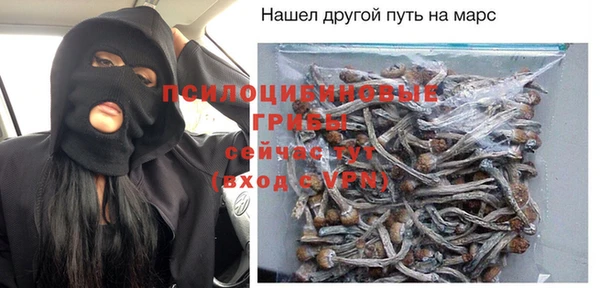 гашик Вяземский